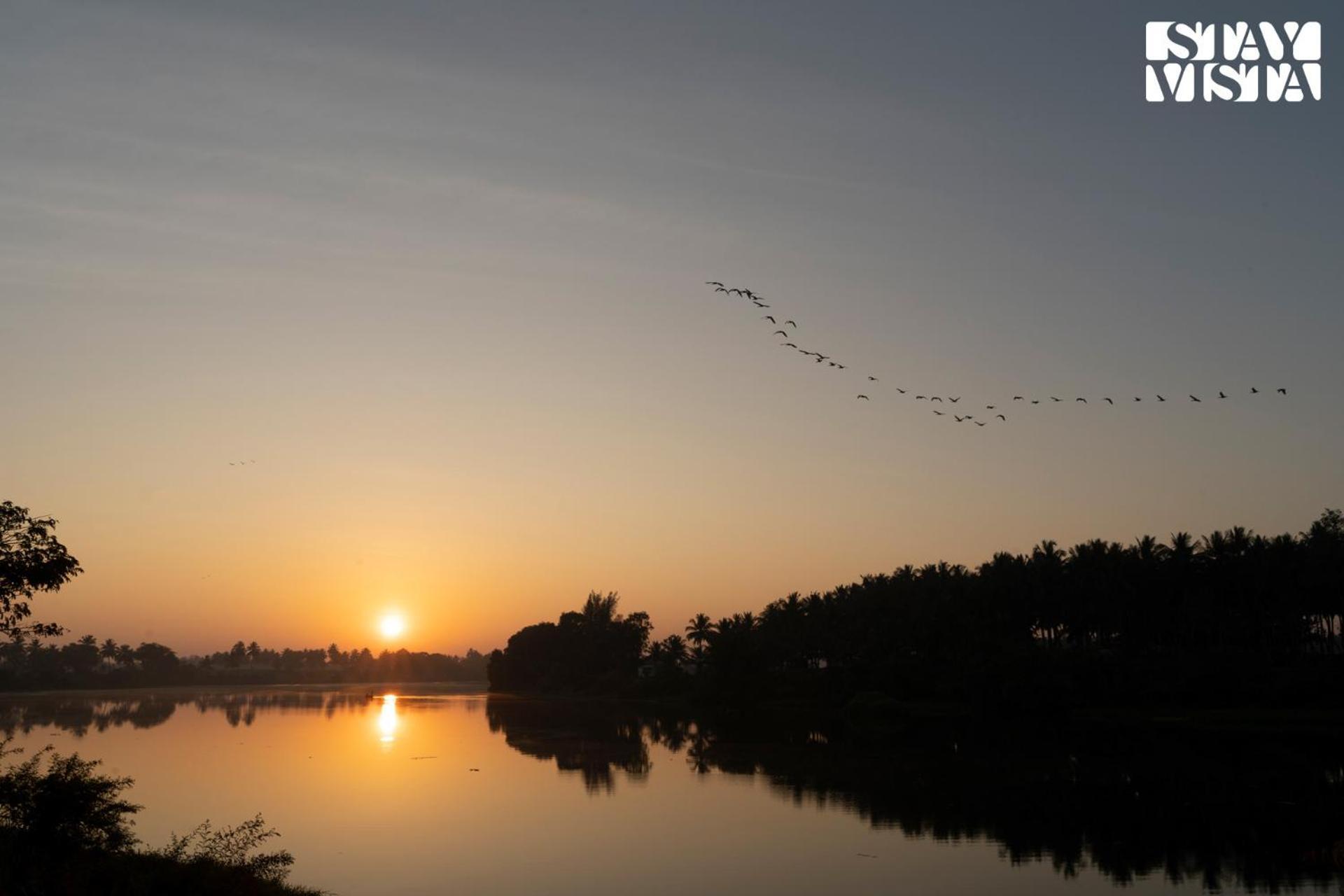Stayvista At Golden Triangle Kabini With Bonfire, River View & Comp Beakfast Hampāpura Exterior foto